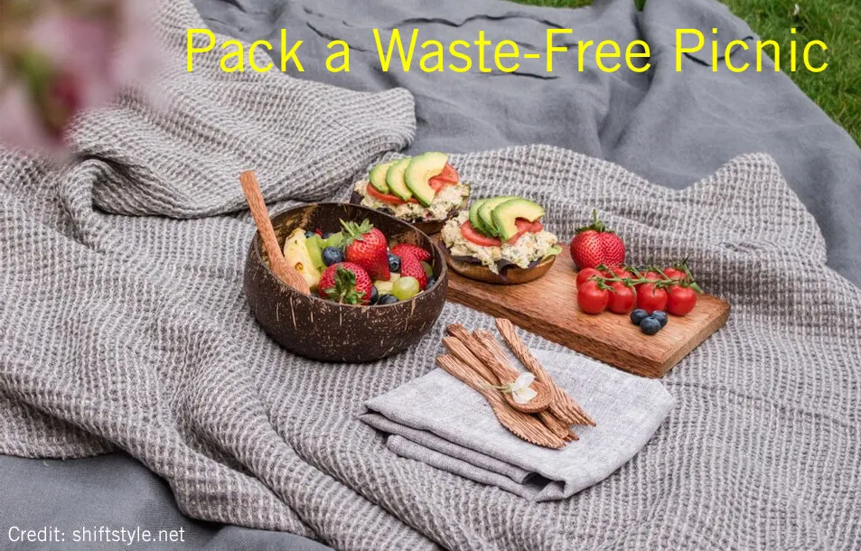 Pack a Waste FREE Picnic